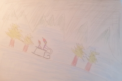 Bild-4